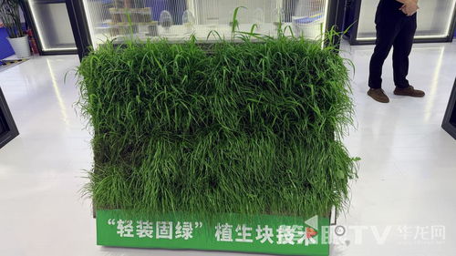 山城西引力 | 专访 靠“素颜”矿产火到西洽会、从磁器口走出都市圈！——黄金揭秘高端材料视角下的显影魅力制造巧奇观——内含金纯度实力证？